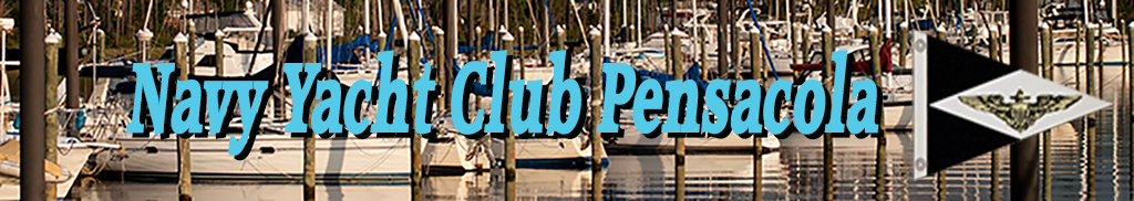 NYCP Banner